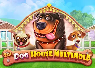 betflix88 The Dog House Multihold ทดลองเล่นฟรี